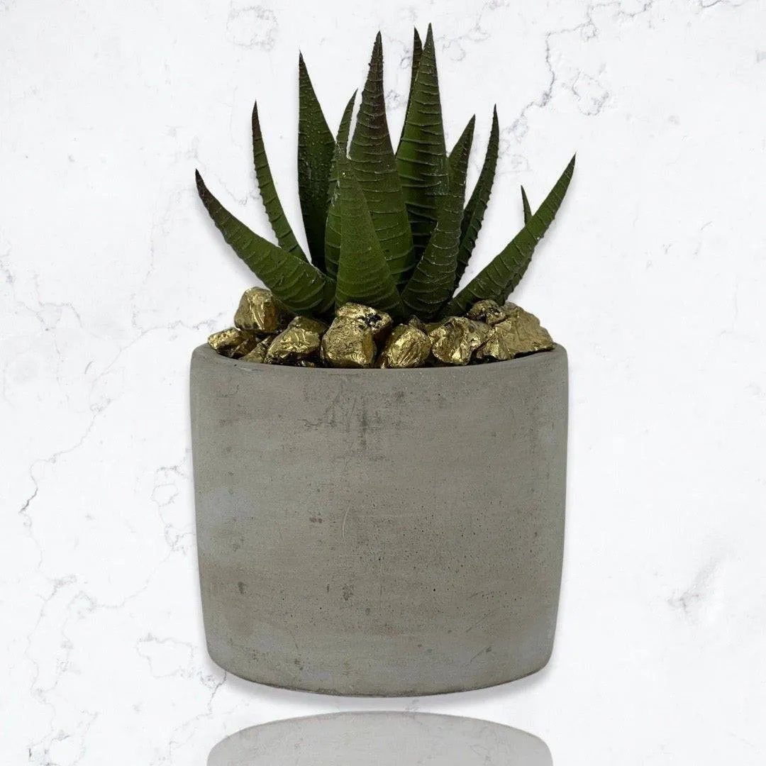 Cement Cylinder Moss & Succulent Centerpiece