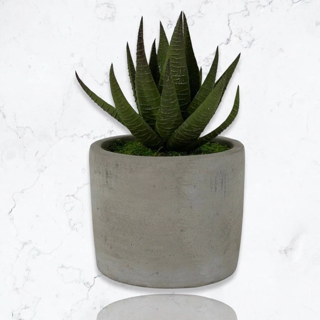 Cement Cylinder Moss & Succulent Centerpiece