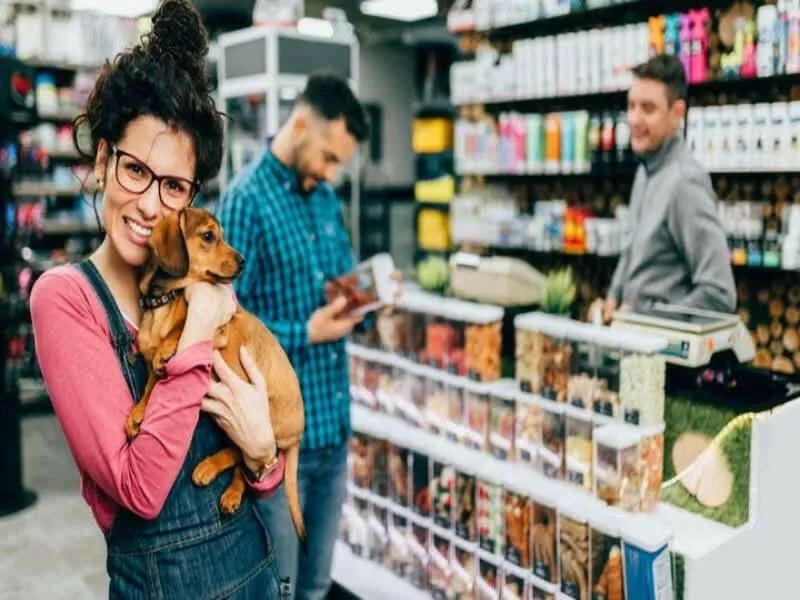 Pet Supplies Store Business Plan